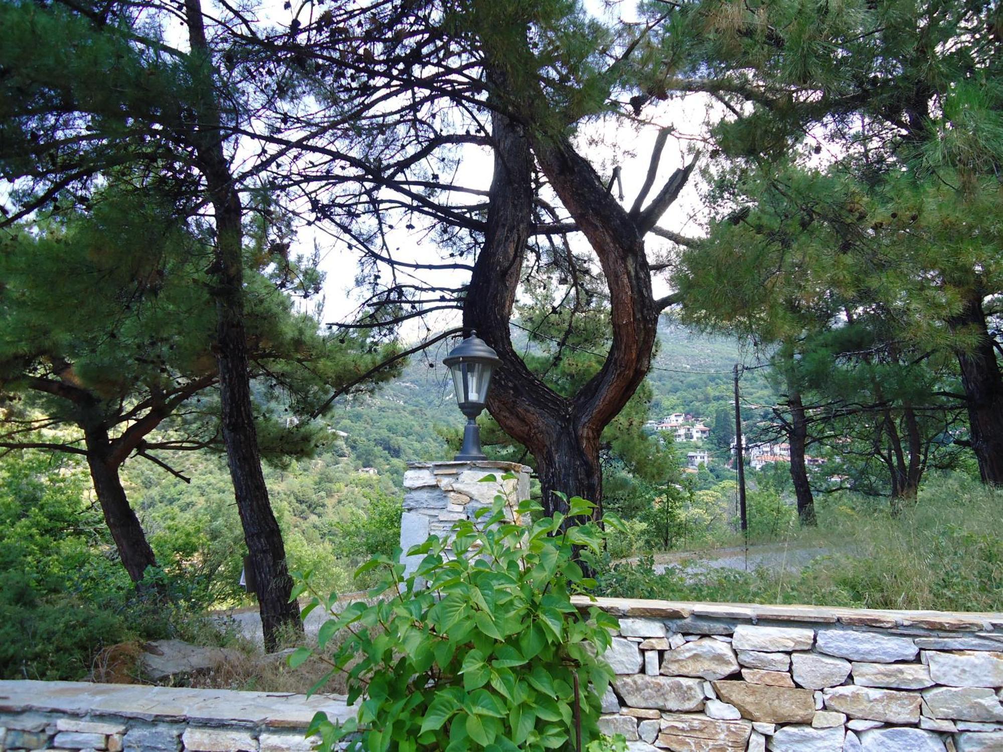 Menir Luxury Apartments Prínos Dış mekan fotoğraf