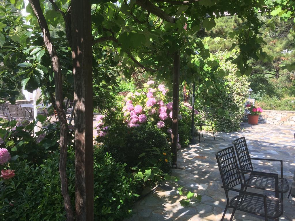 Menir Luxury Apartments Prínos Dış mekan fotoğraf
